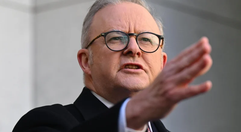 Amid a week of sex and drug allegations, Pocock summed up Albanese’s gambling plan with one word